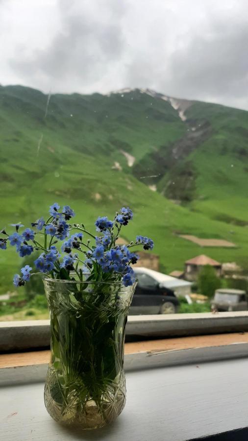 Guesthouse Svanuri Sakhli Ushguli Luaran gambar
